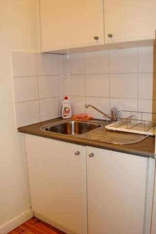 Апартаменты Alex Apartments on Lva Tolstogo Киев Номер-студио (для 4 взрослых) - ул. Большая Васильковская, 36-10